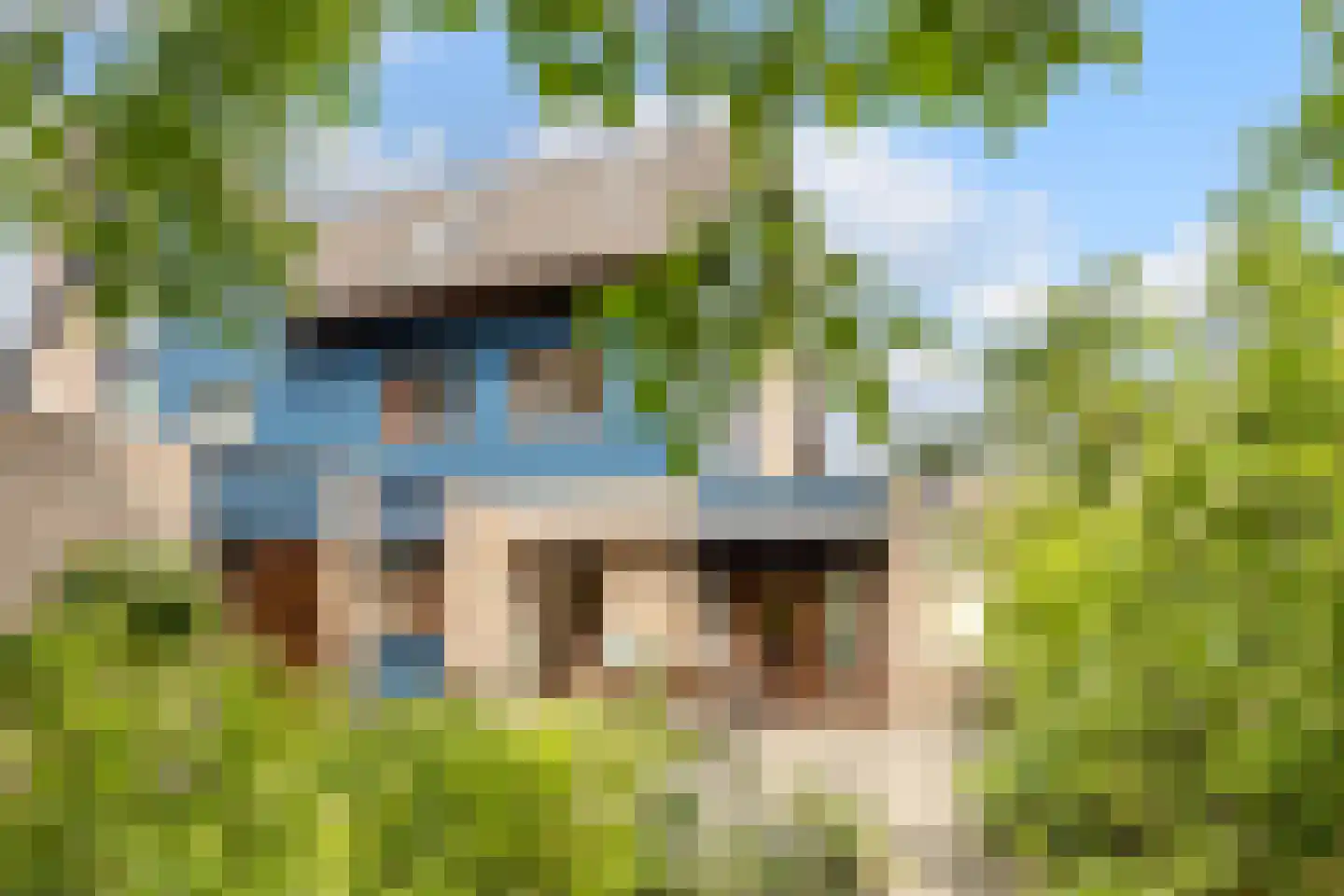 Bosweide 7 Breda thumbnail 4