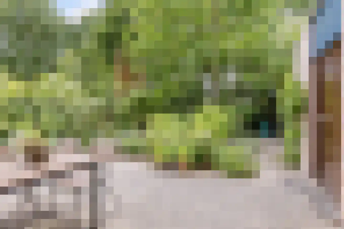 Bosweide 7 Breda thumbnail 40