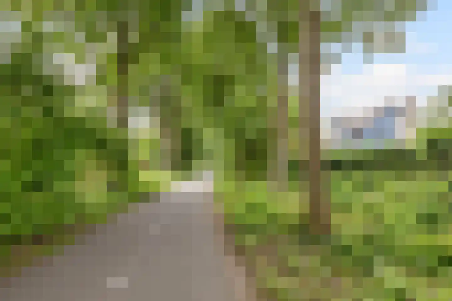 Bosweide 7 Breda thumbnail 49