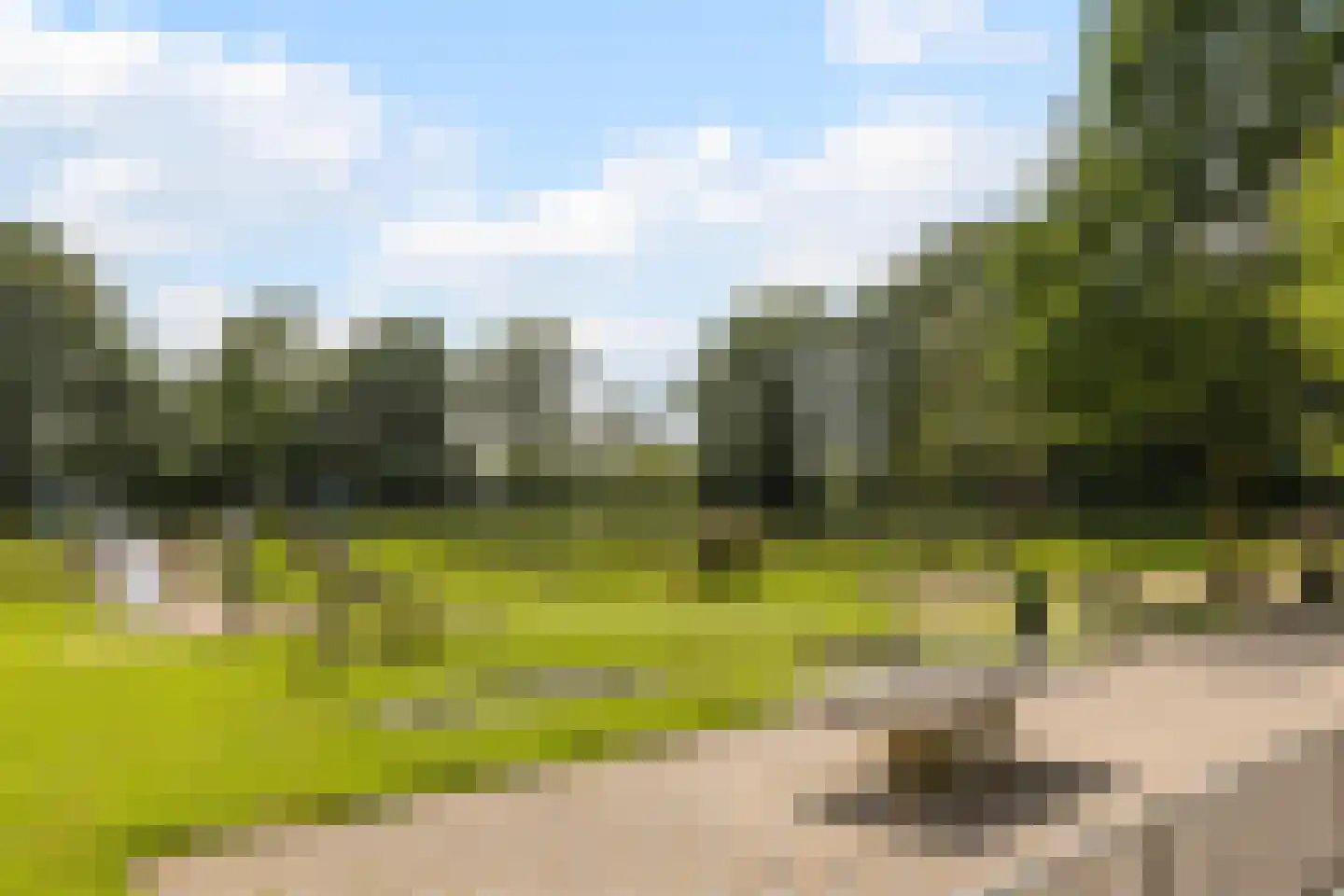 Bosweide 7 Breda thumbnail 50