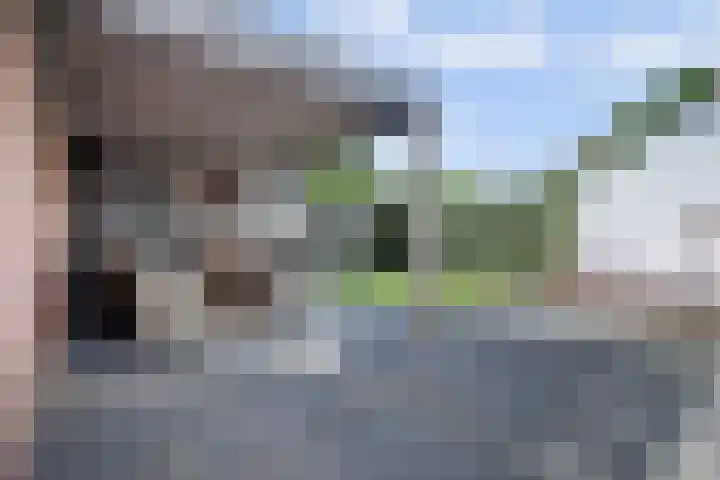 Bosweistraat 3 Bemmel thumbnail 15