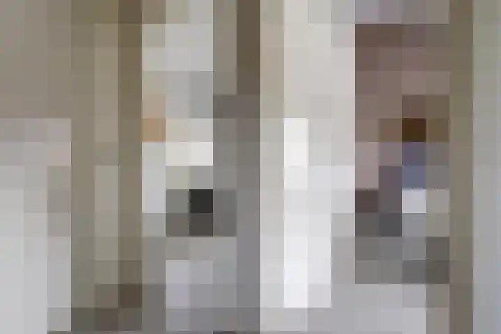Bosweistraat 3 Bemmel thumbnail 22