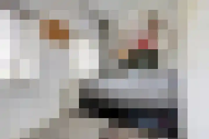 Bosweistraat 3 Bemmel thumbnail 34