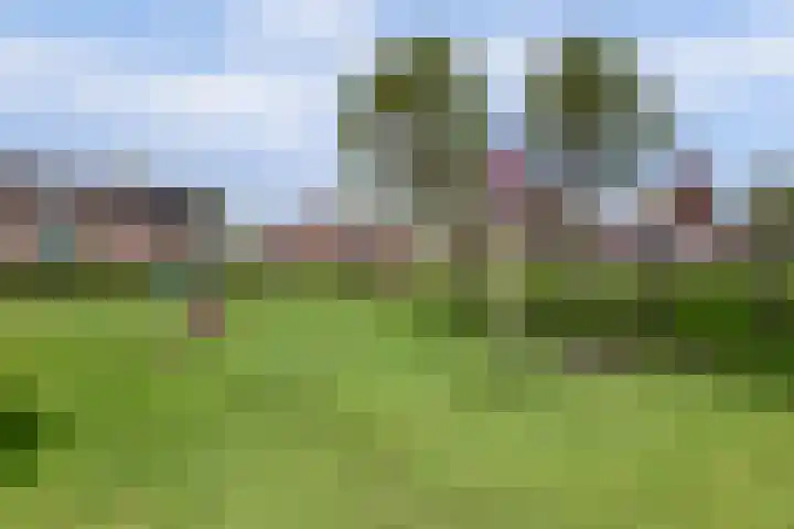 Bosweistraat 3 Bemmel thumbnail 42