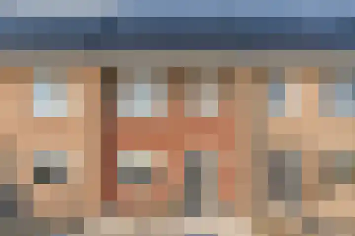 Boswerf 6 en Dedemsvaart