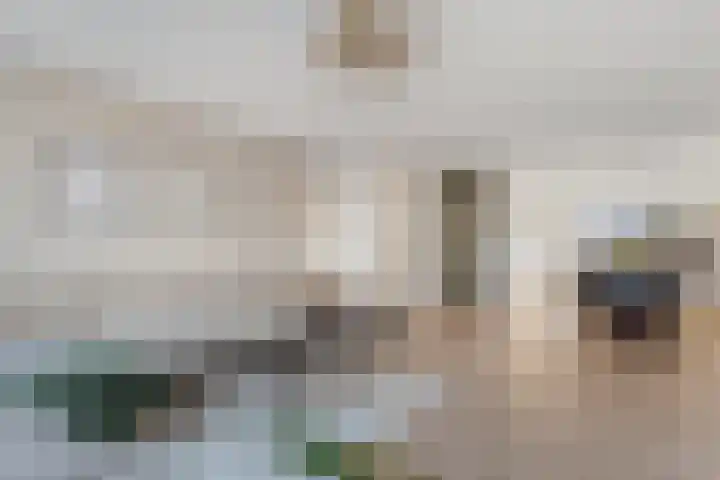 Boswerf 6 Dedemsvaart thumbnail 10