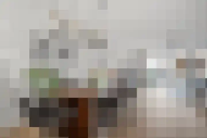 Boswerf 6 Dedemsvaart thumbnail 13