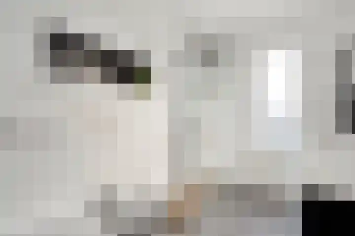 Boswerf 6 Dedemsvaart thumbnail 21