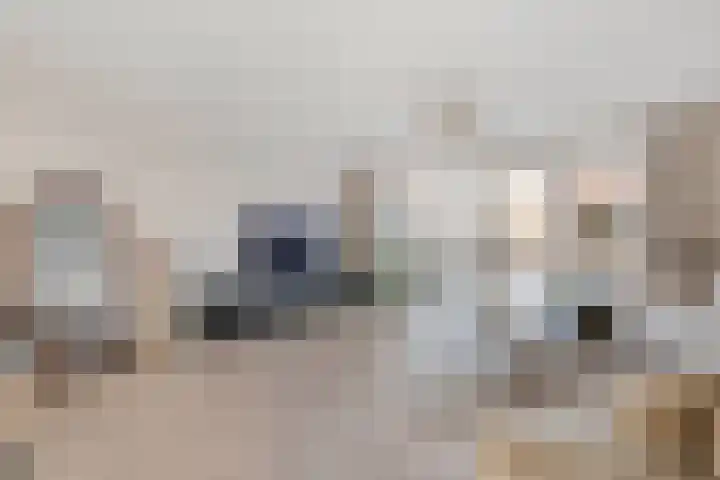 Boswerf 6 Dedemsvaart foto 3