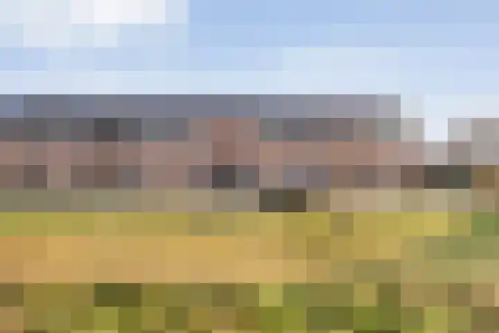 Boswerf 6 Dedemsvaart thumbnail 39