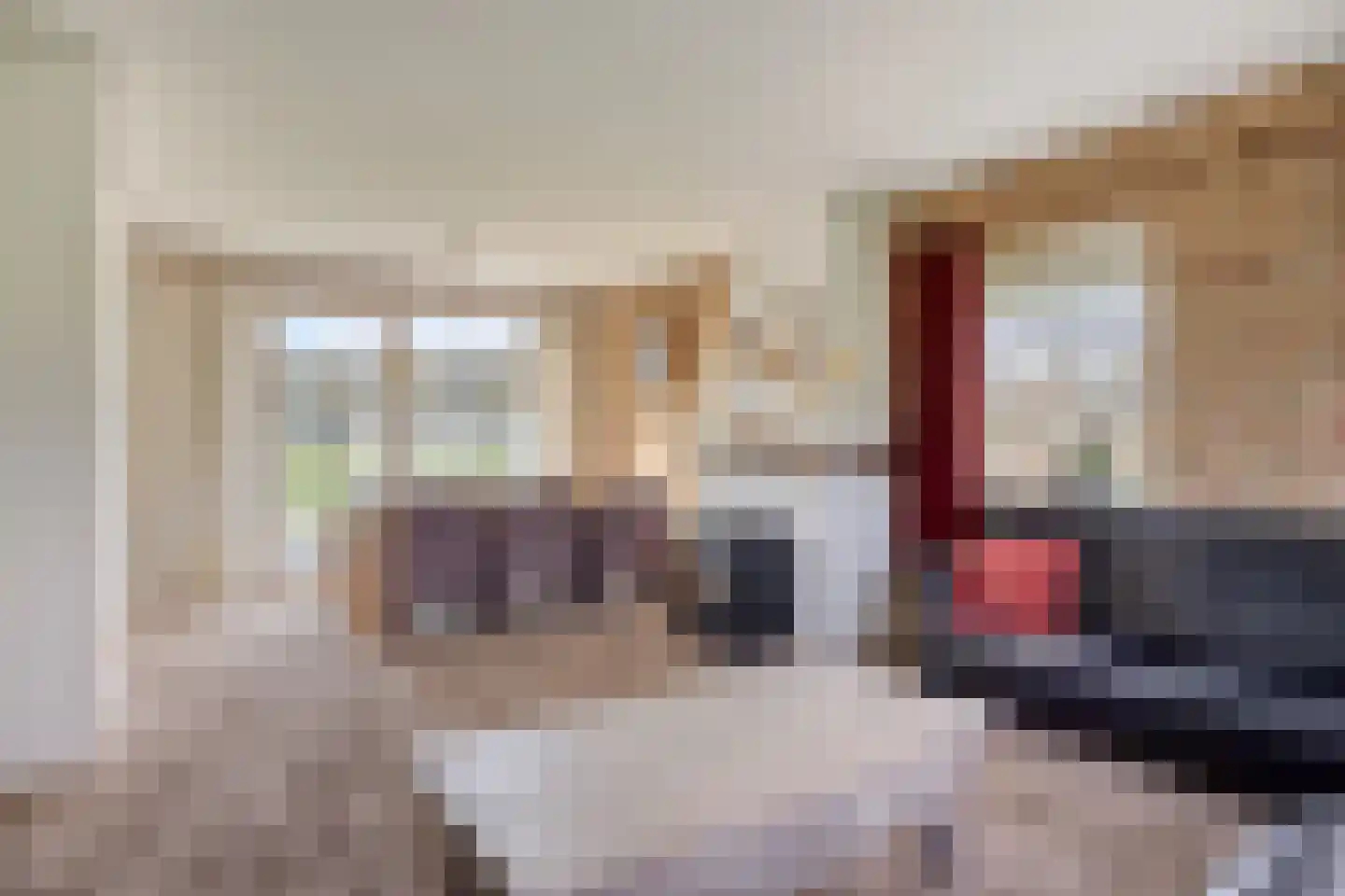 Boswijk 6 Hollandscheveld thumbnail 11