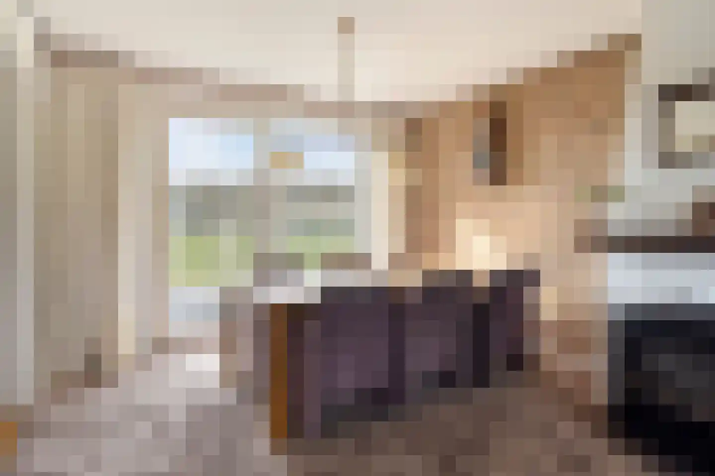 Boswijk 6 Hollandscheveld thumbnail 13