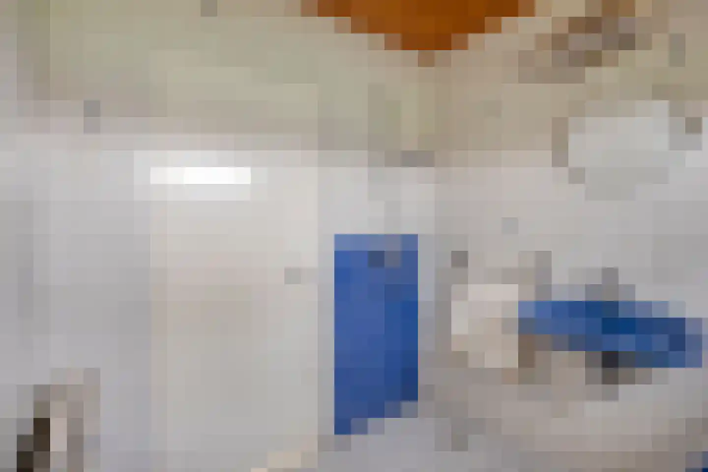 Boswijk 6 Hollandscheveld thumbnail 22