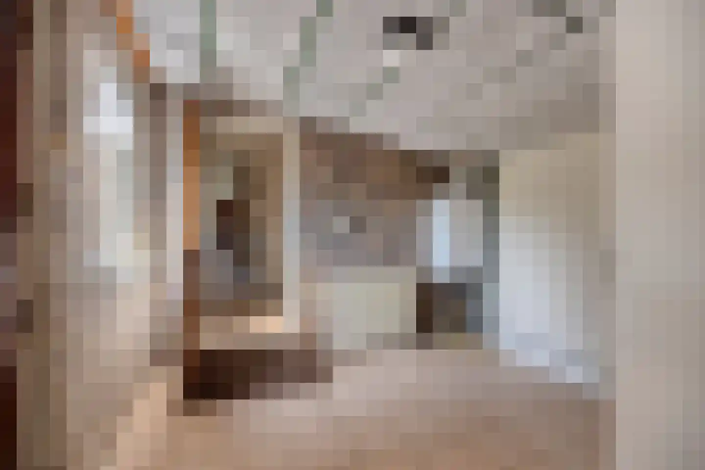Boswijk 6 Hollandscheveld thumbnail 23