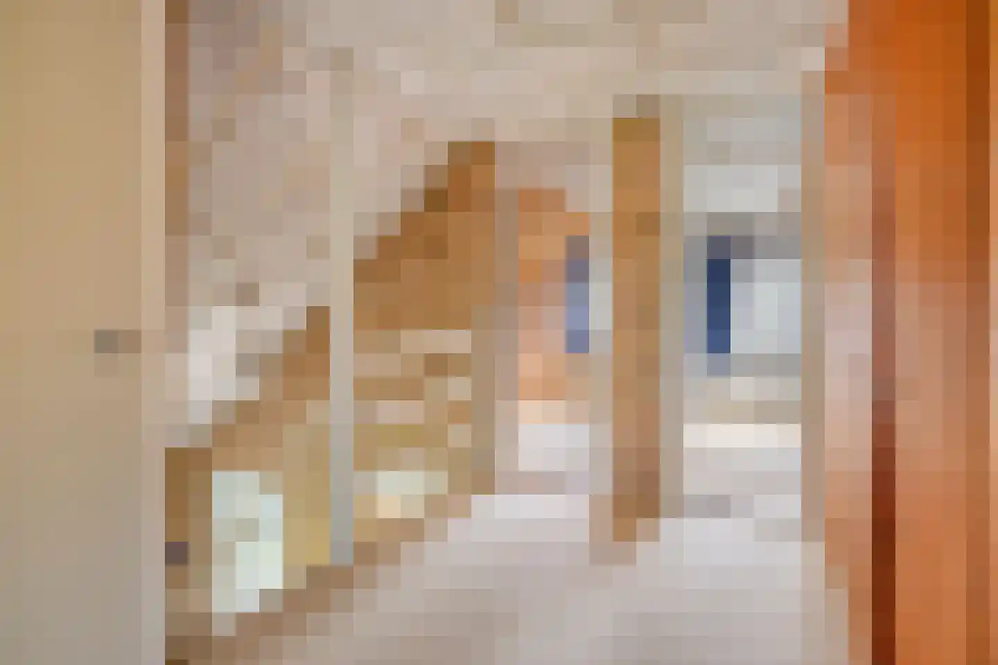 Boswijk 6 Hollandscheveld thumbnail 28