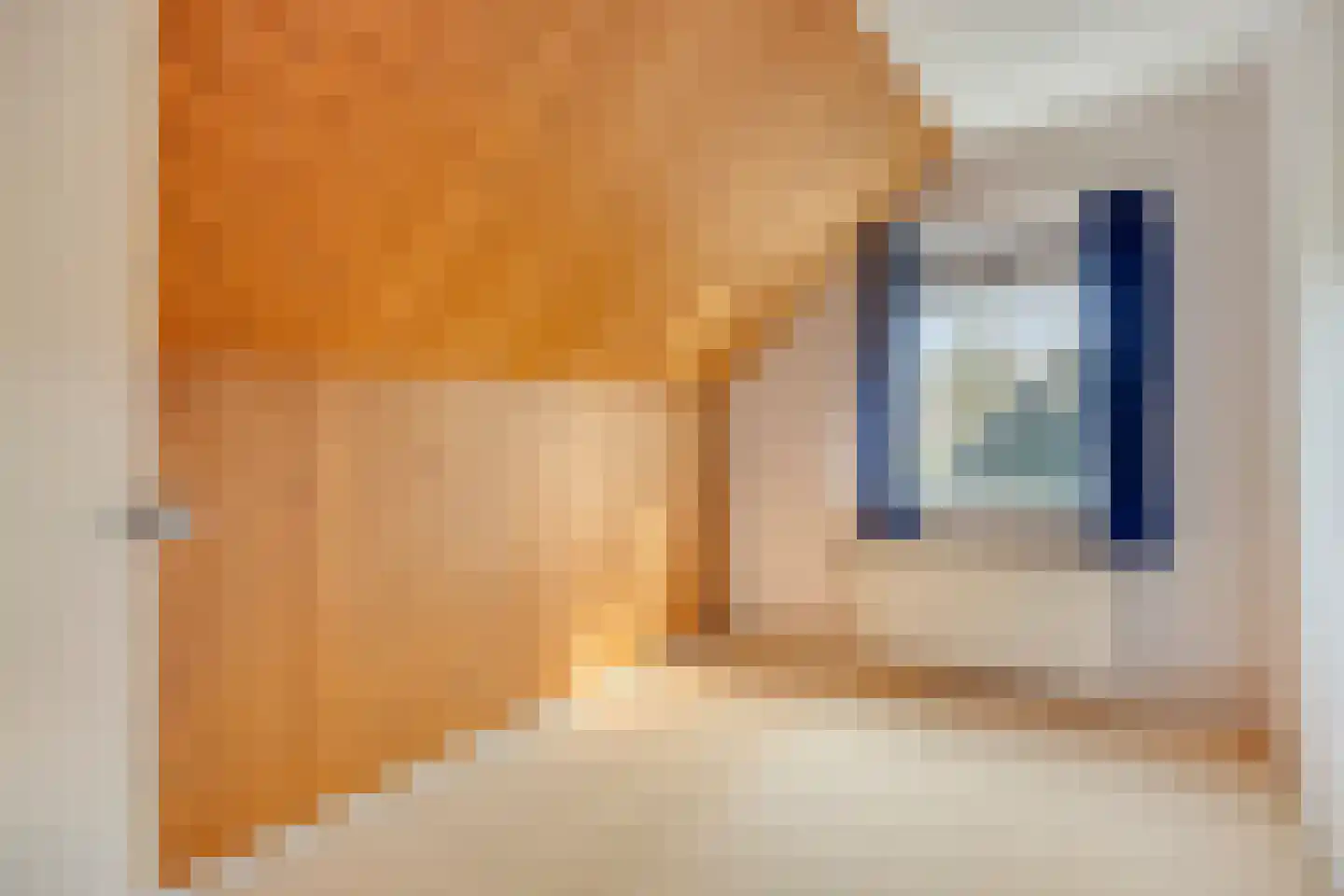 Boswijk 6 Hollandscheveld thumbnail 30