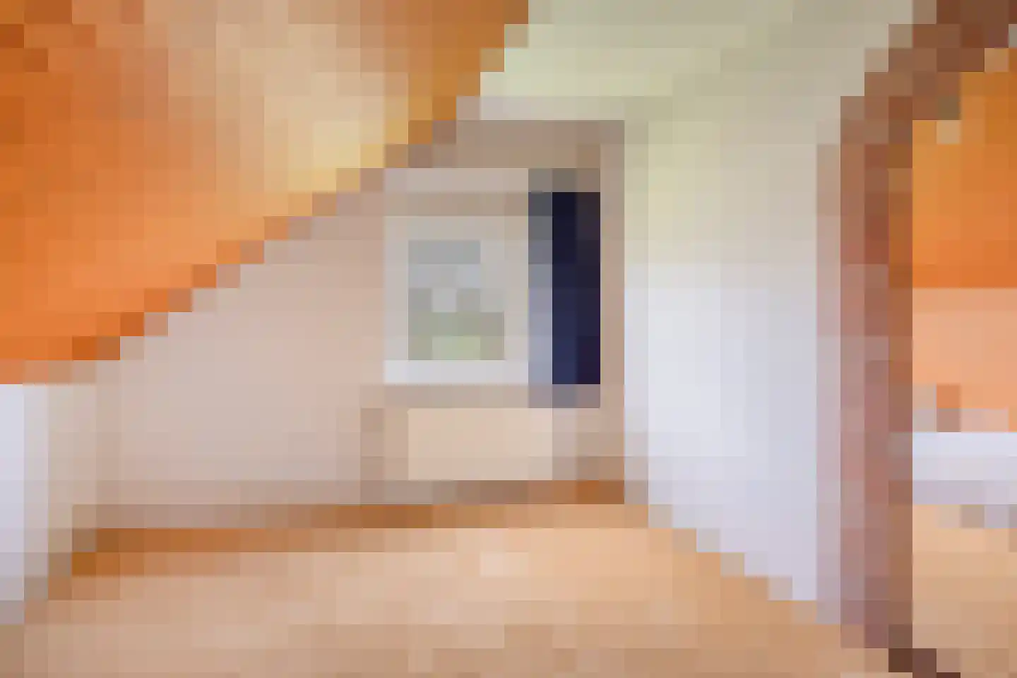 Boswijk 6 Hollandscheveld thumbnail 31