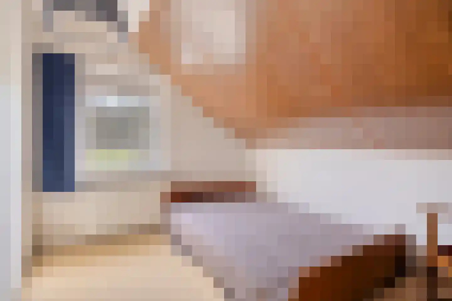 Boswijk 6 Hollandscheveld thumbnail 33