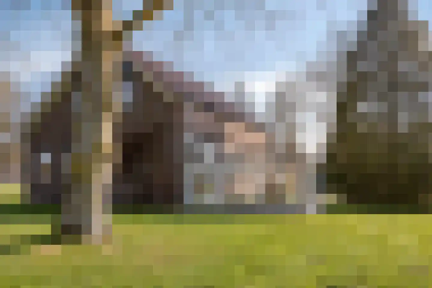 Boswijk 6 Hollandscheveld thumbnail 34