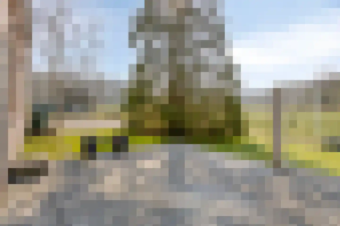 Boswijk 6 Hollandscheveld thumbnail 35