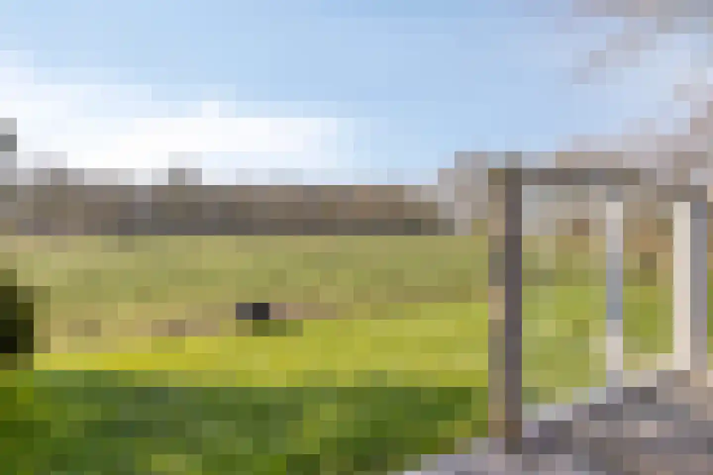 Boswijk 6 Hollandscheveld thumbnail 37