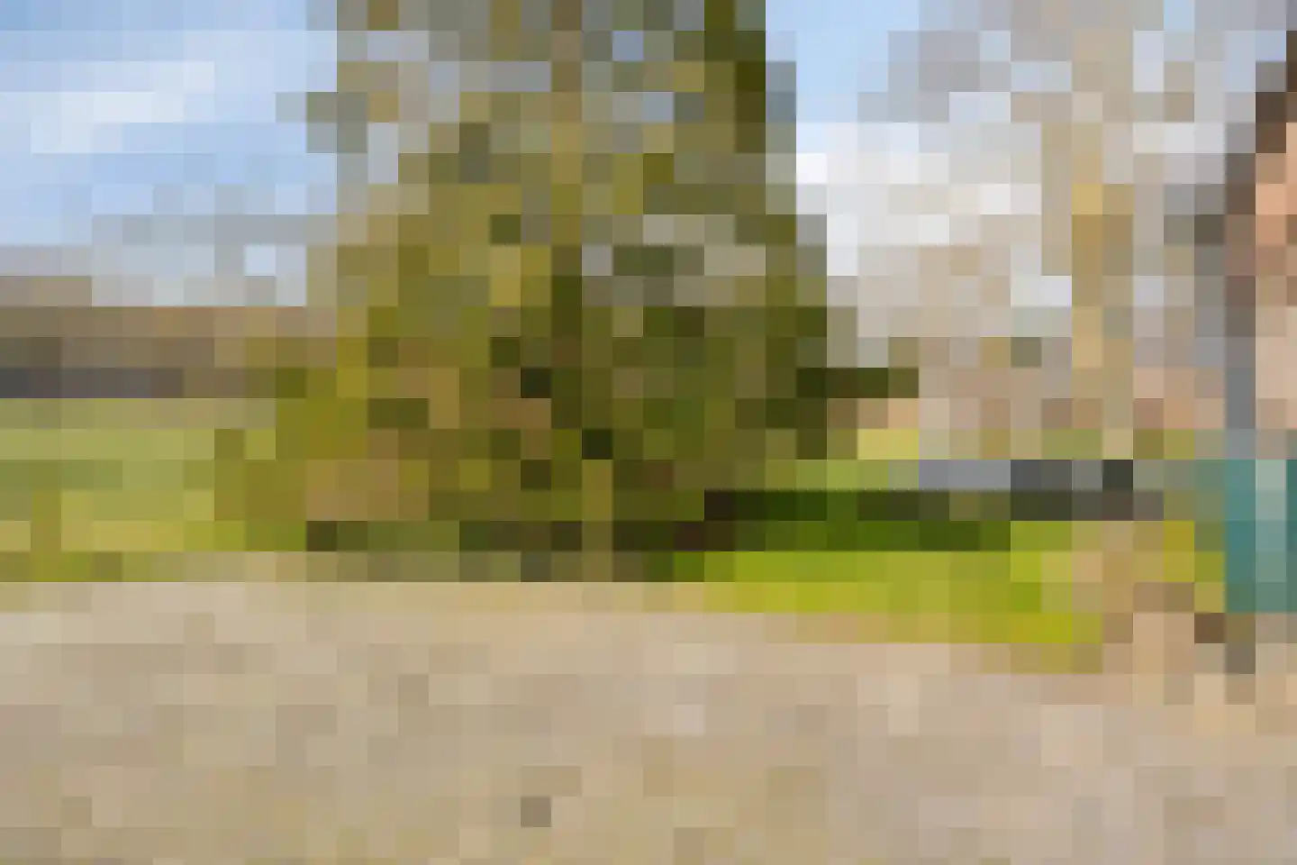 Boswijk 6 Hollandscheveld thumbnail 38