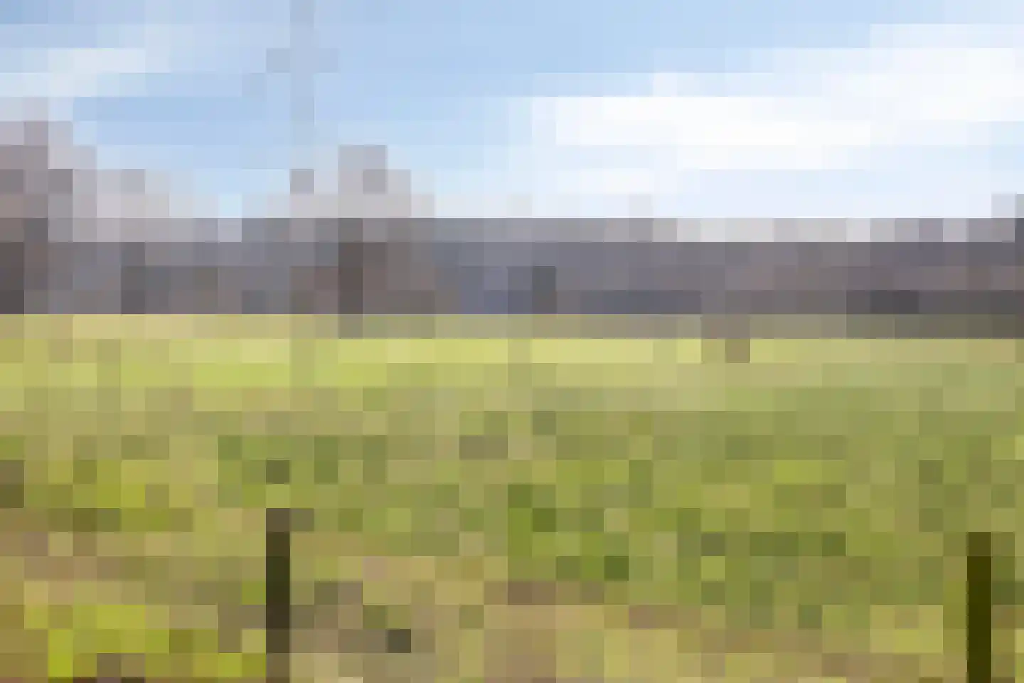 Boswijk 6 Hollandscheveld thumbnail 40