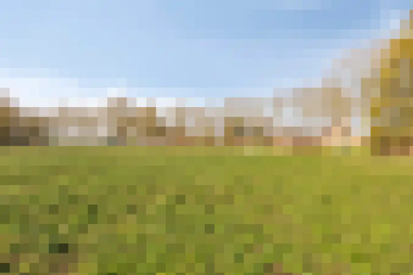 Boswijk 6 Hollandscheveld thumbnail 43