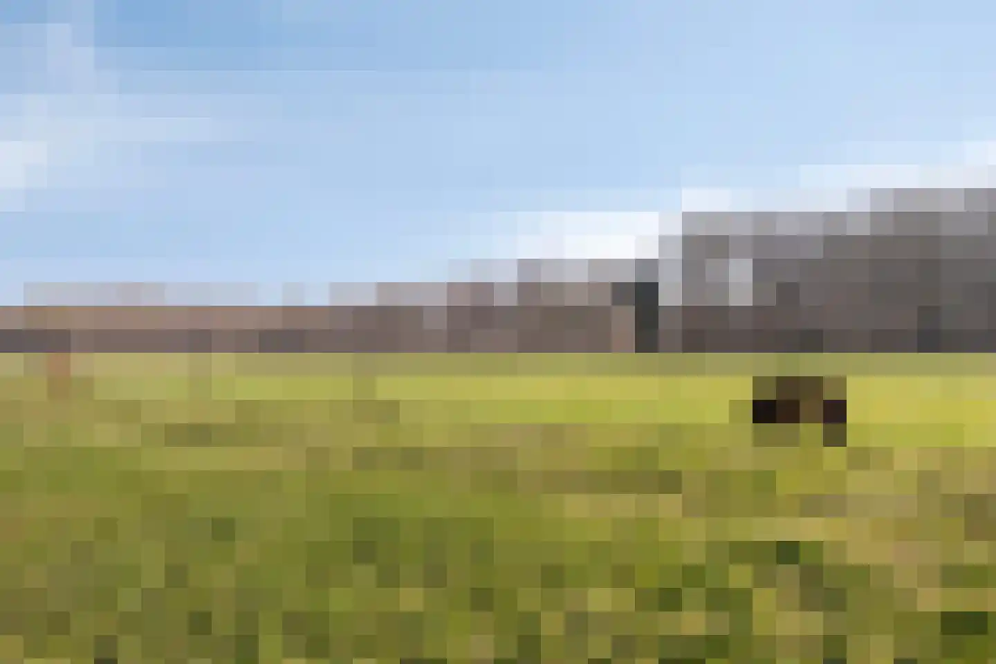 Boswijk 6 Hollandscheveld thumbnail 44