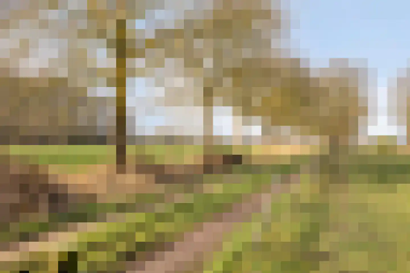 Boswijk 6 Hollandscheveld thumbnail 45