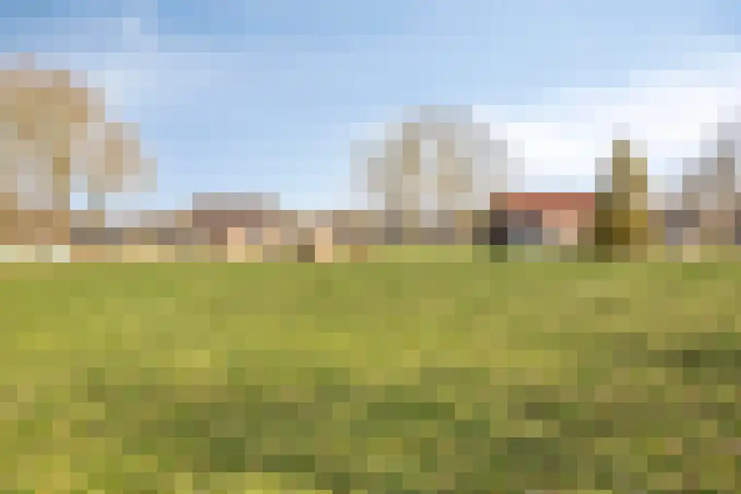 Boswijk 6 Hollandscheveld thumbnail 47