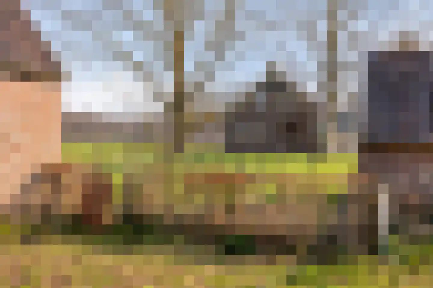 Boswijk 6 Hollandscheveld thumbnail 50