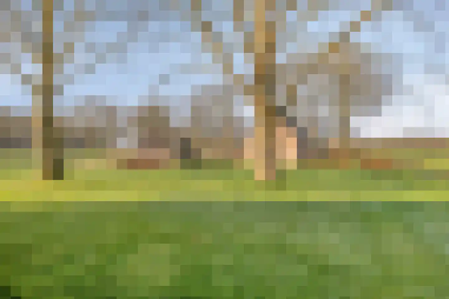 Boswijk 6 Hollandscheveld thumbnail 52