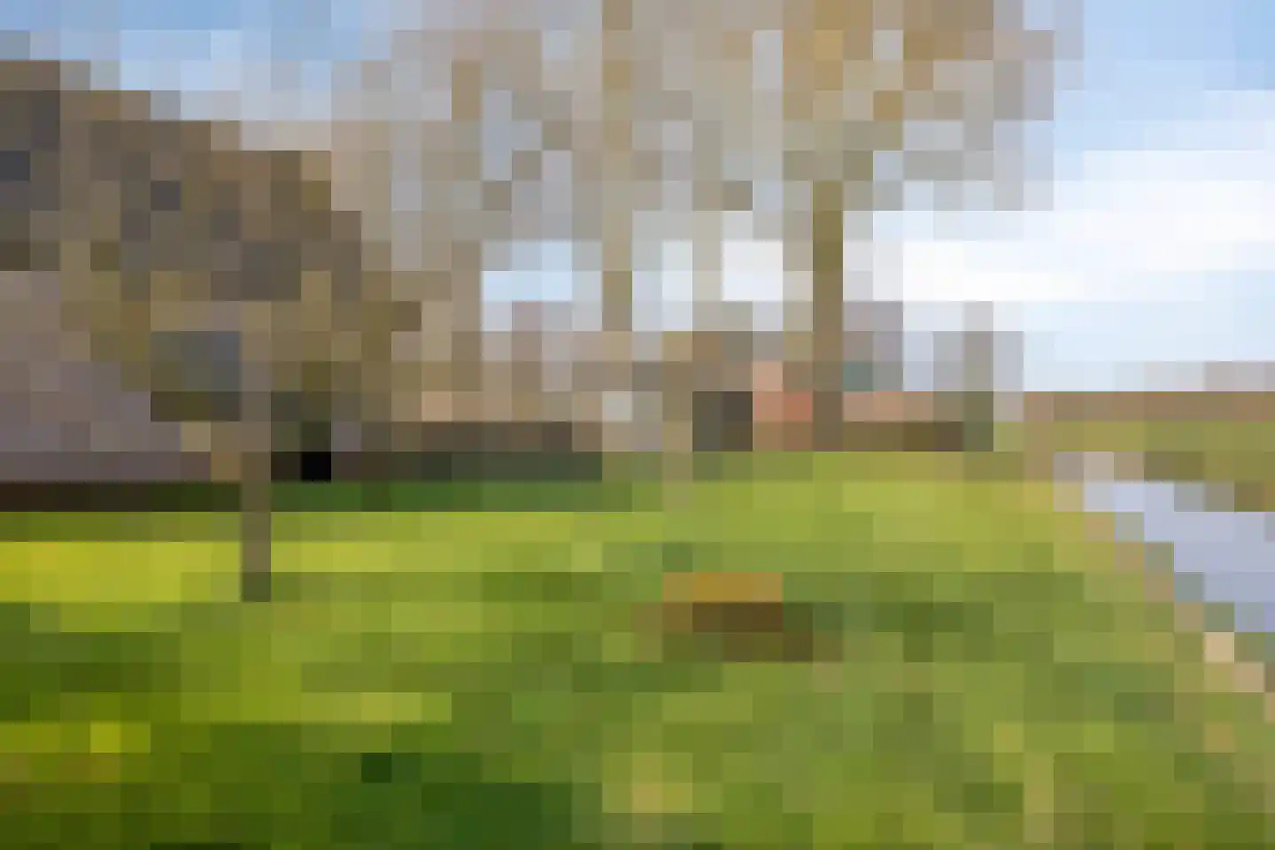 Boswijk 6 Hollandscheveld thumbnail 53