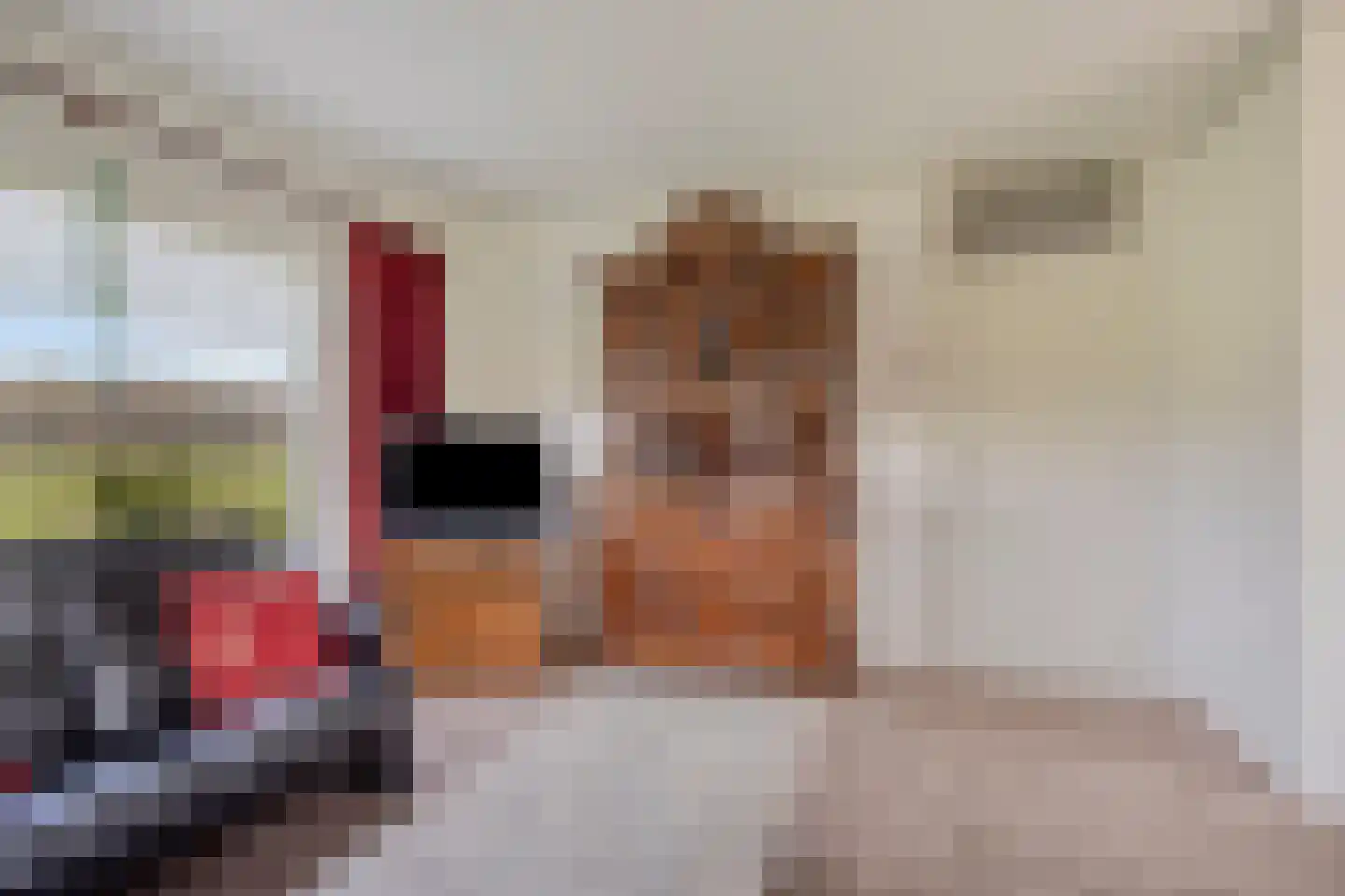 Boswijk 6 Hollandscheveld thumbnail 7