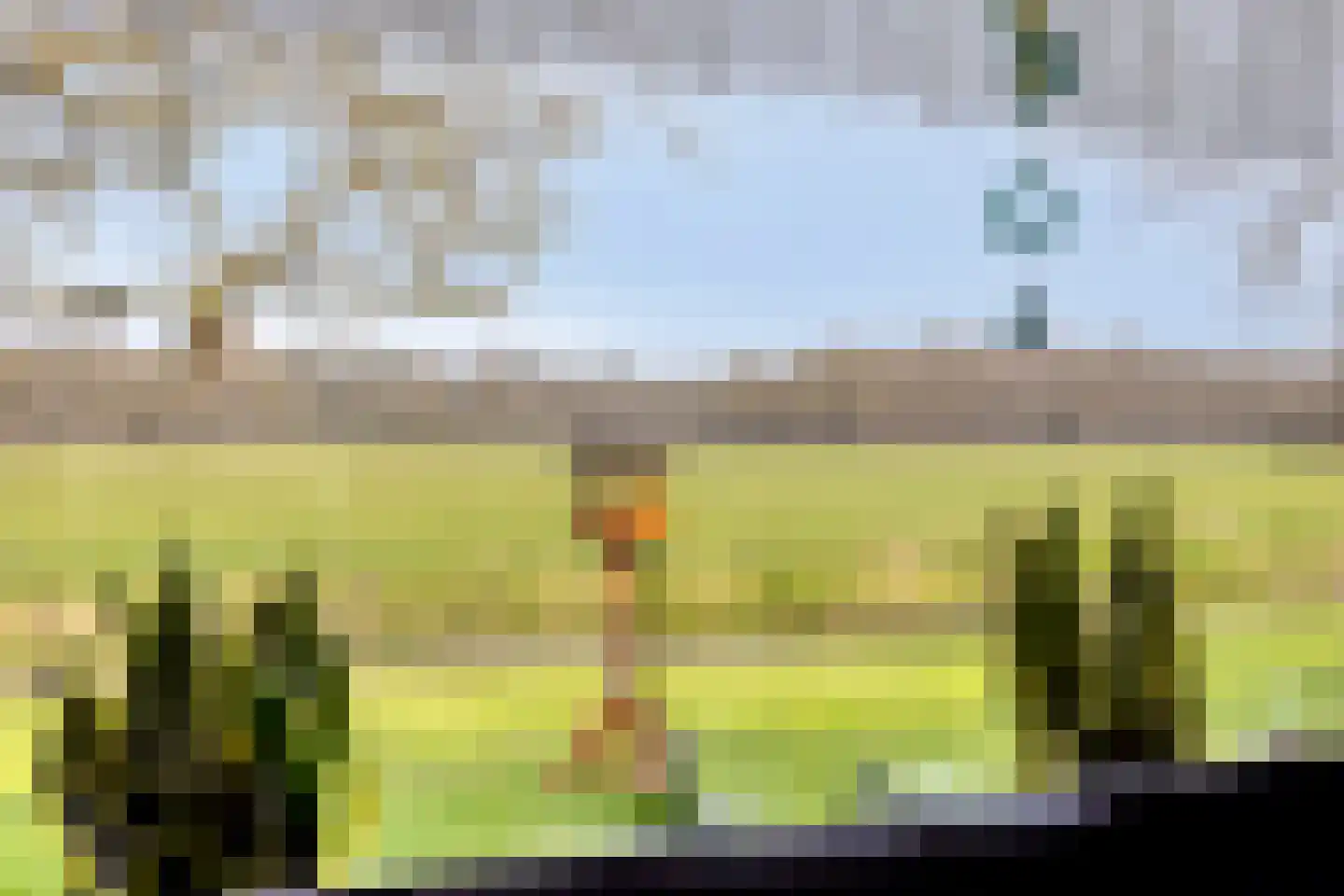Boswijk 6 Hollandscheveld thumbnail 8