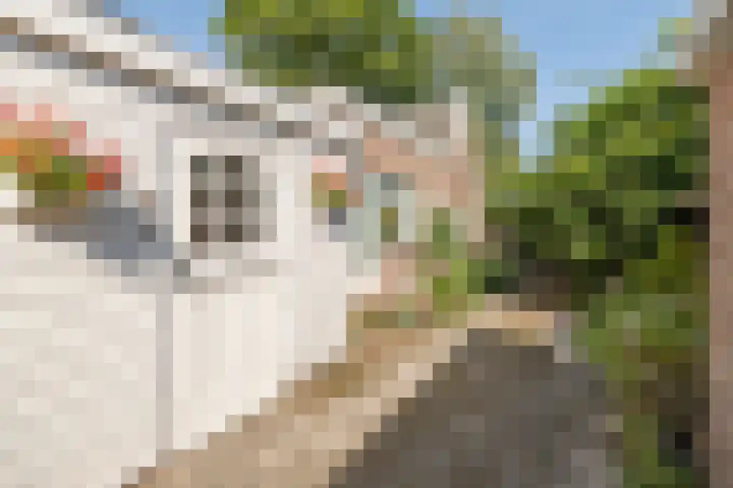 Boswijklaan 28 Doorn thumbnail 25