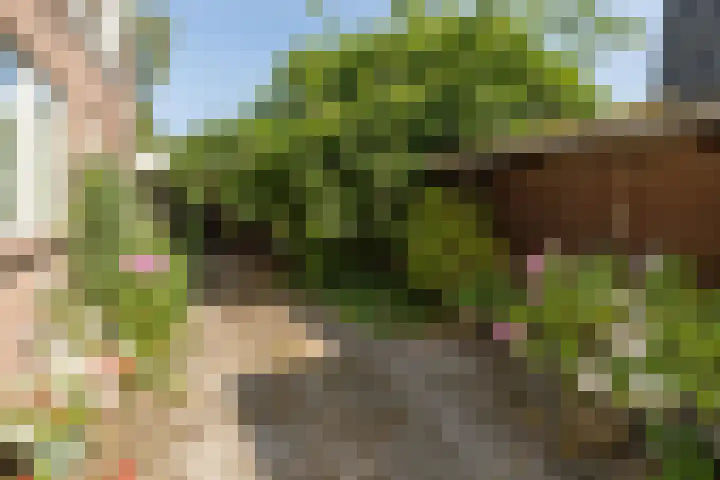 Boswijklaan 28 Doorn thumbnail 27