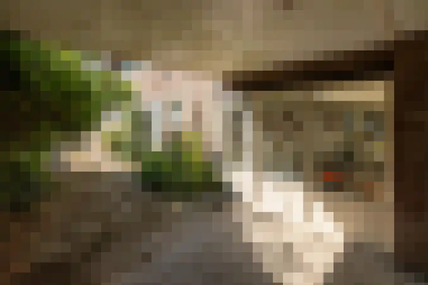 Boswijklaan 28 Doorn thumbnail 29