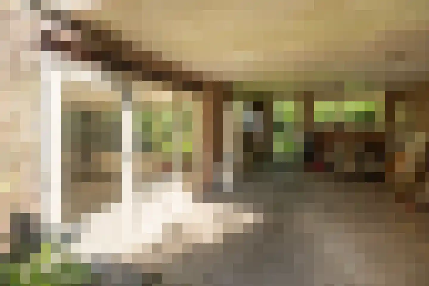 Boswijklaan 28 Doorn thumbnail 30