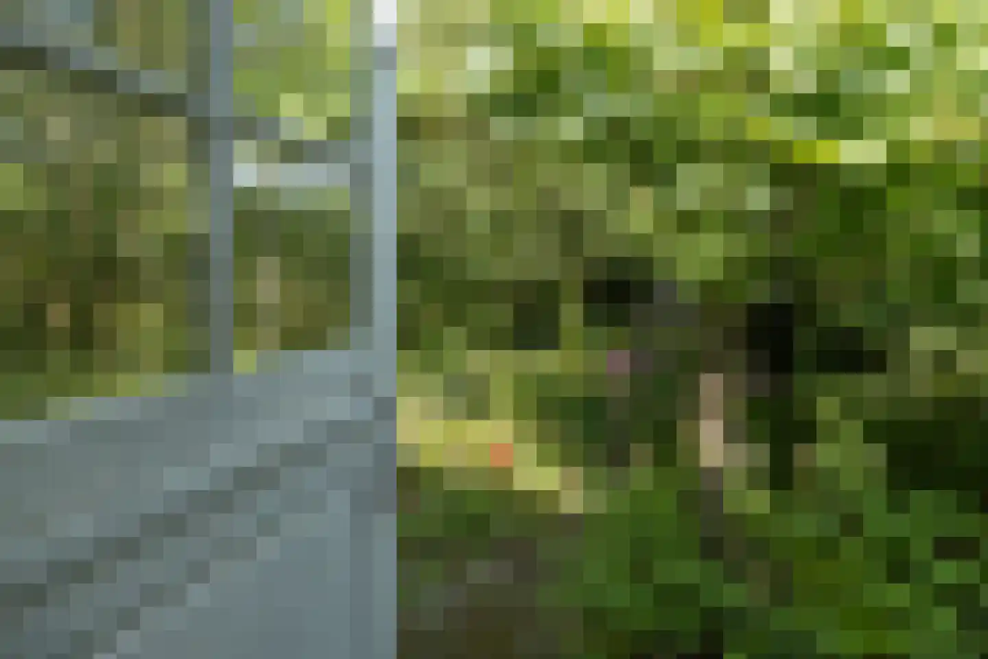 Boswijklaan 28 Doorn thumbnail 31