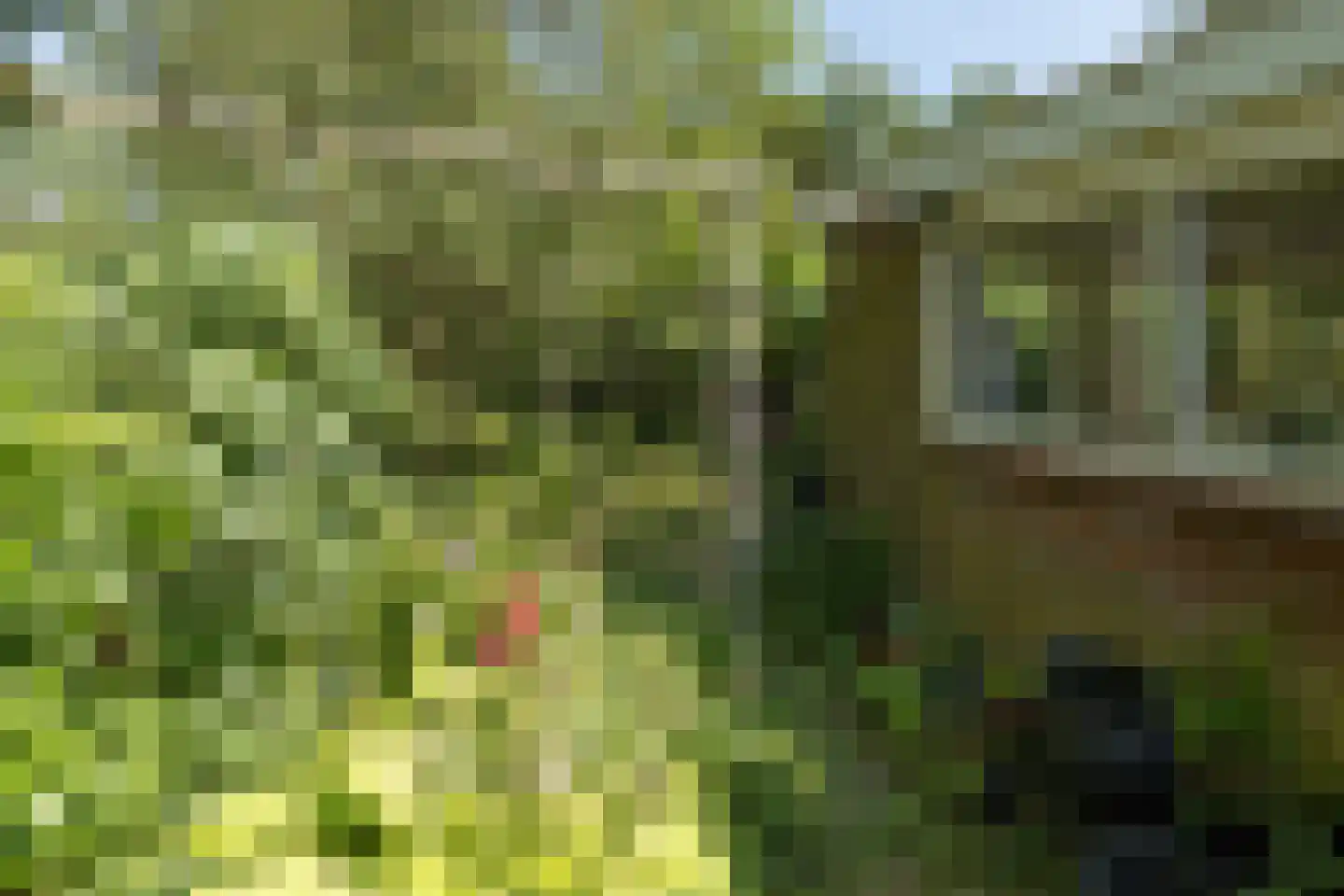 Boswijklaan 28 Doorn thumbnail 33