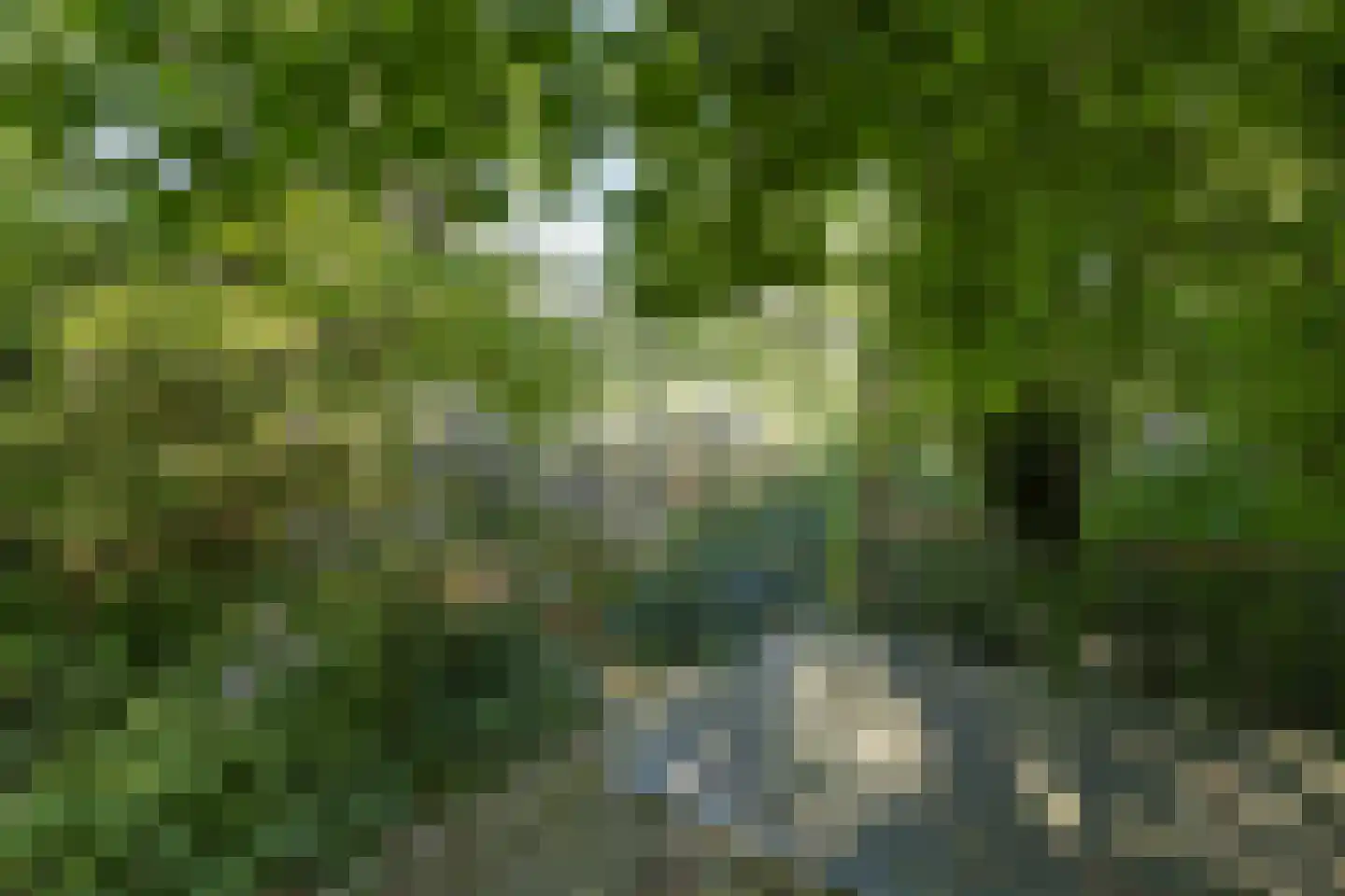 Boswijklaan 28 Doorn thumbnail 35