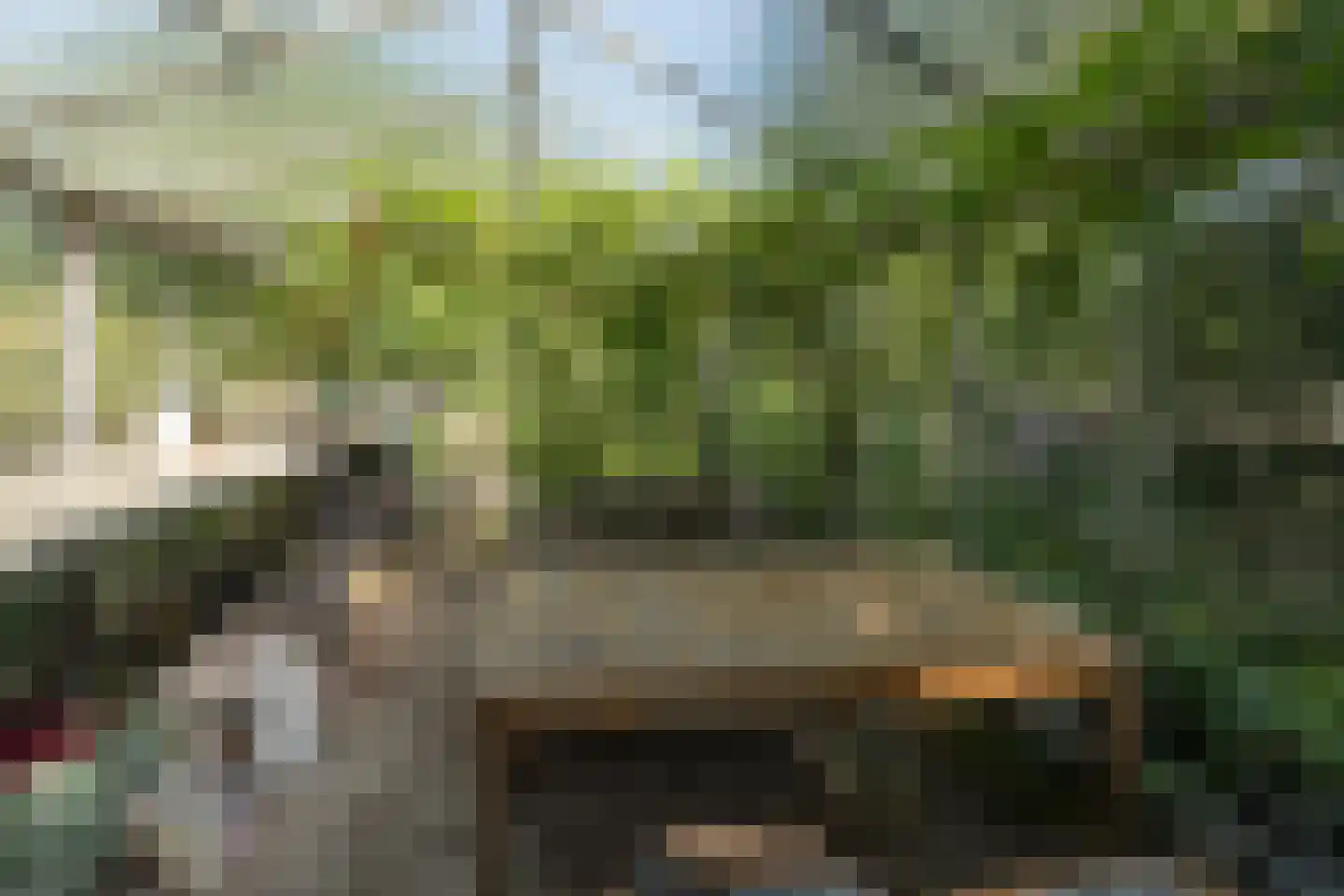 Boswijklaan 28 Doorn thumbnail 36
