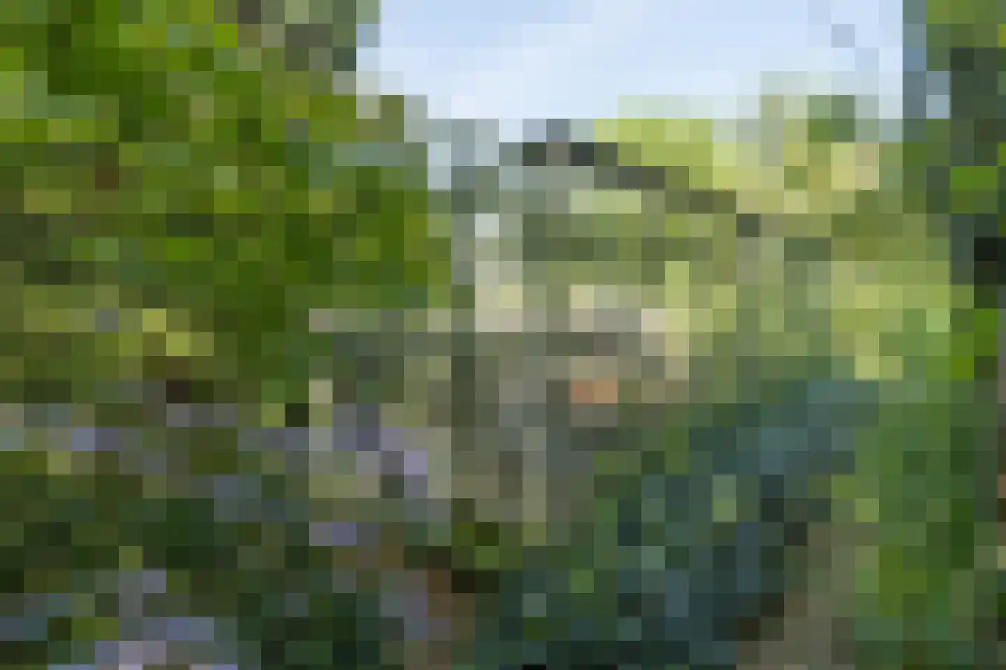 Boswijklaan 28 Doorn thumbnail 37