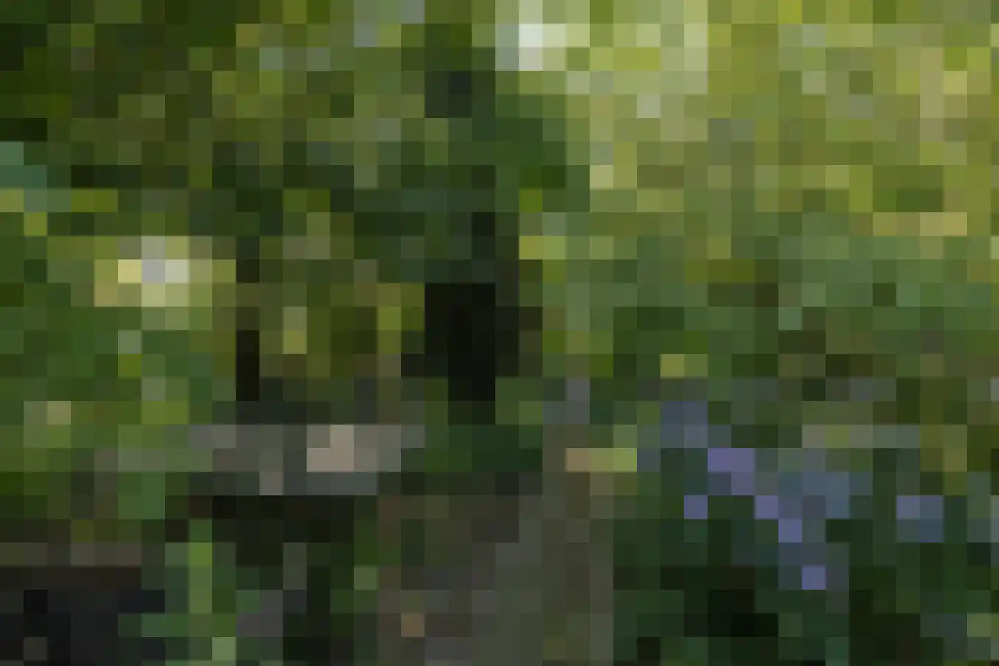 Boswijklaan 28 Doorn thumbnail 38