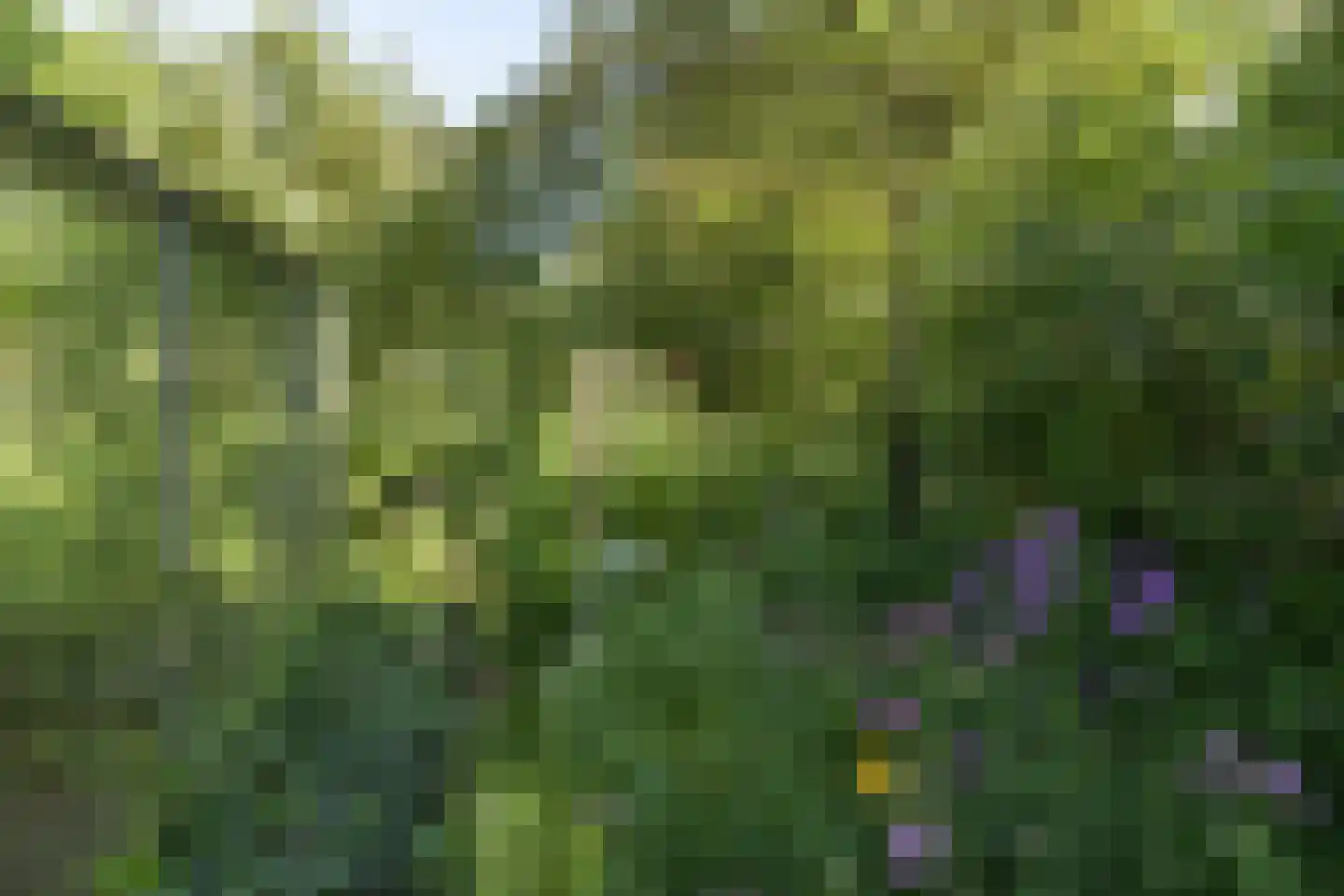 Boswijklaan 28 Doorn thumbnail 39