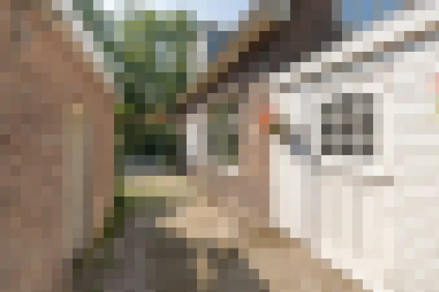 Boswijklaan 28 Doorn thumbnail 41