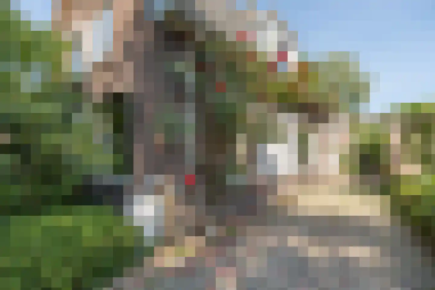 Boswijklaan 28 Doorn thumbnail 42