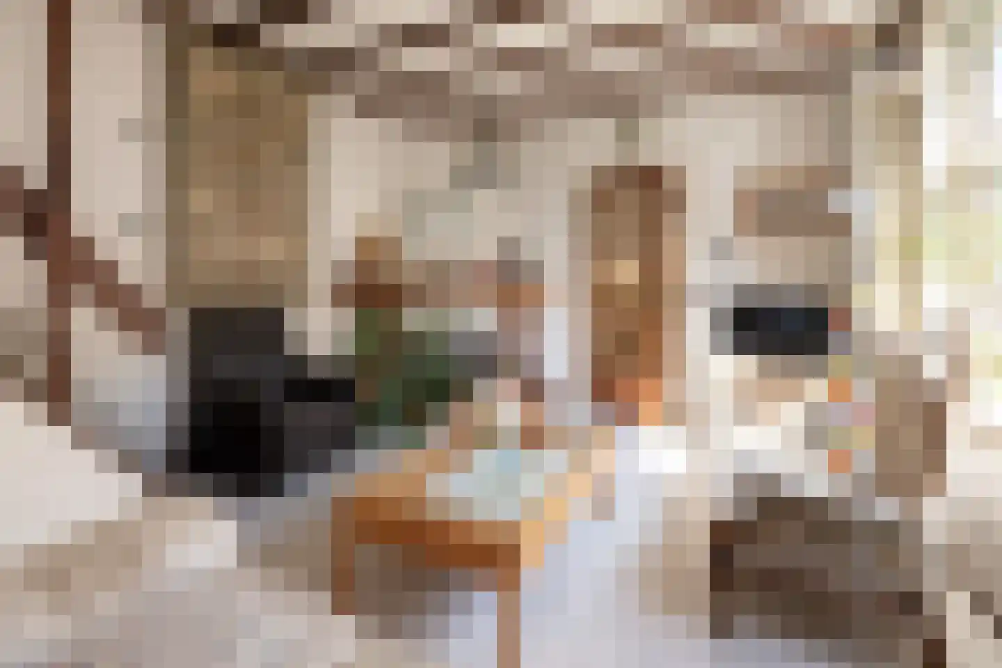 Boswijklaan 28 Doorn thumbnail 6